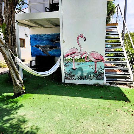 Hotel La Jungla Puerto Villamil Exterior photo
